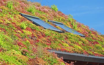 Watchet living roof systems
